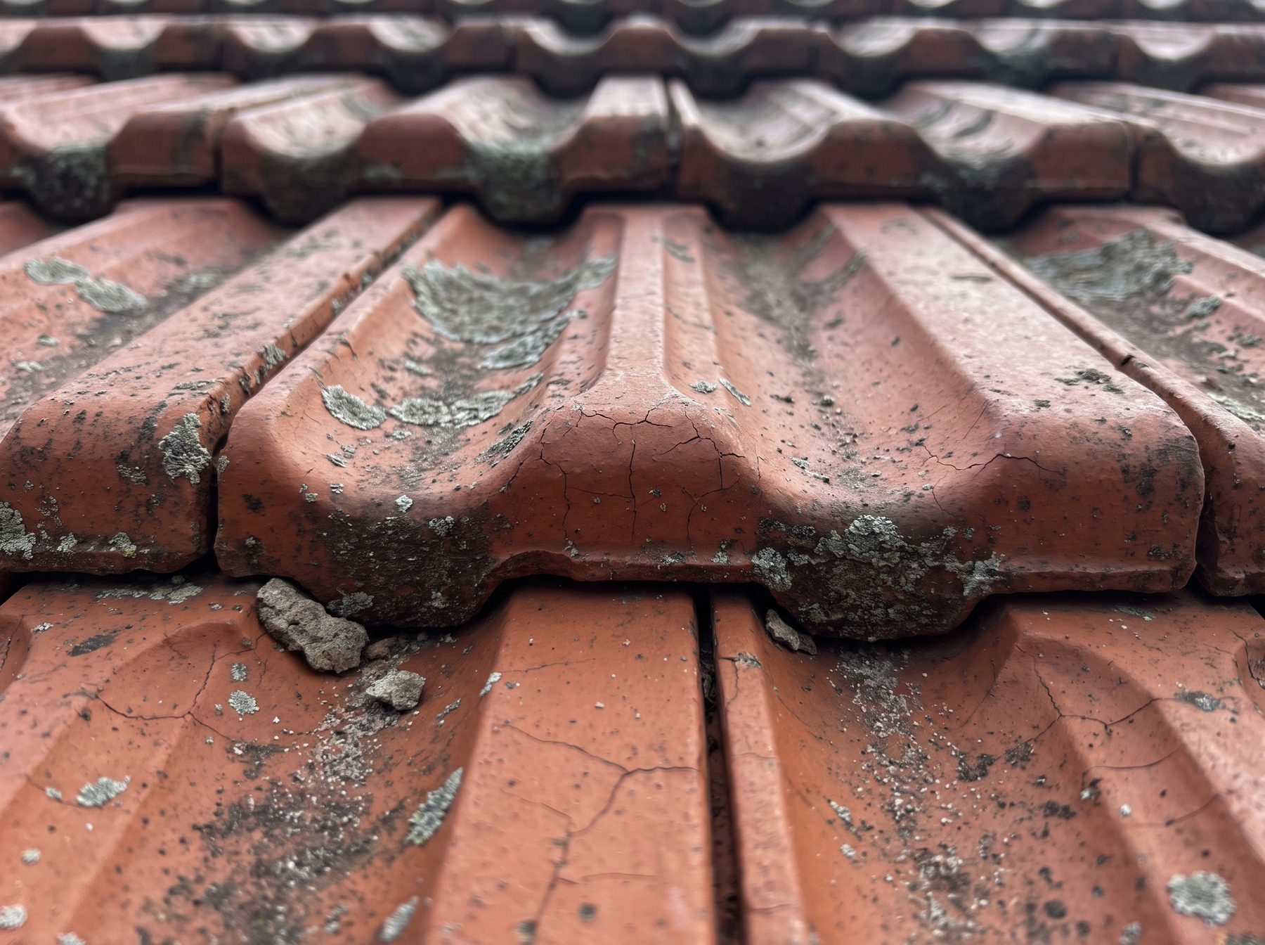 Weathered terracotta Marseille tile